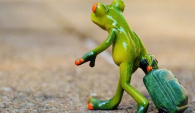 Why travelling at least once a year is good for mental health. Here’s what experts say – Firstpost