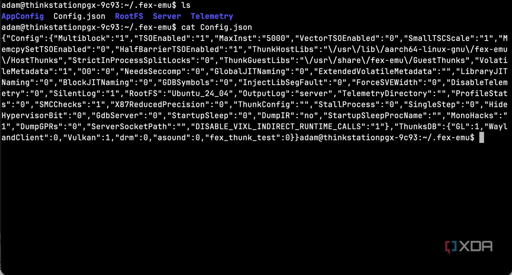 Fex Emu settings on the Lenovo Thinkstation PGX running the Nvidia GB10