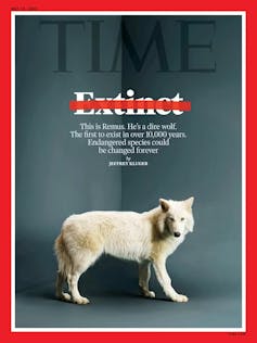 Photo of a white wolf with the word extinct crossed out above it.