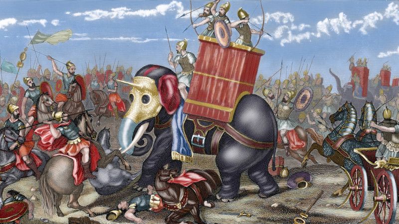 Ancient bone may be first physical evidence of Hannibal’s ‘war machine’ elephants in Western Europe