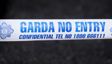 Girl (16) dies in hit-and-run incident in Co Meath as man (20s) arrested