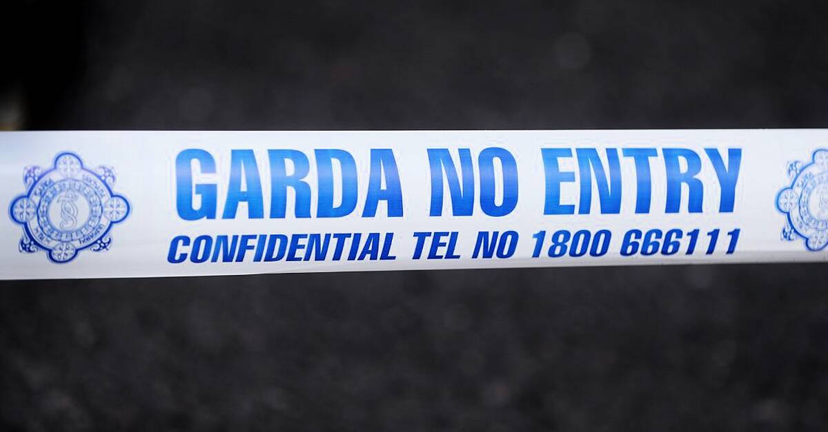 Girl (16) dies in hit-and-run incident in Co Meath as man (20s) arrested