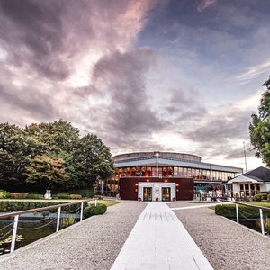 Sale Preview: Goffs February Sale | Topics: Goffs