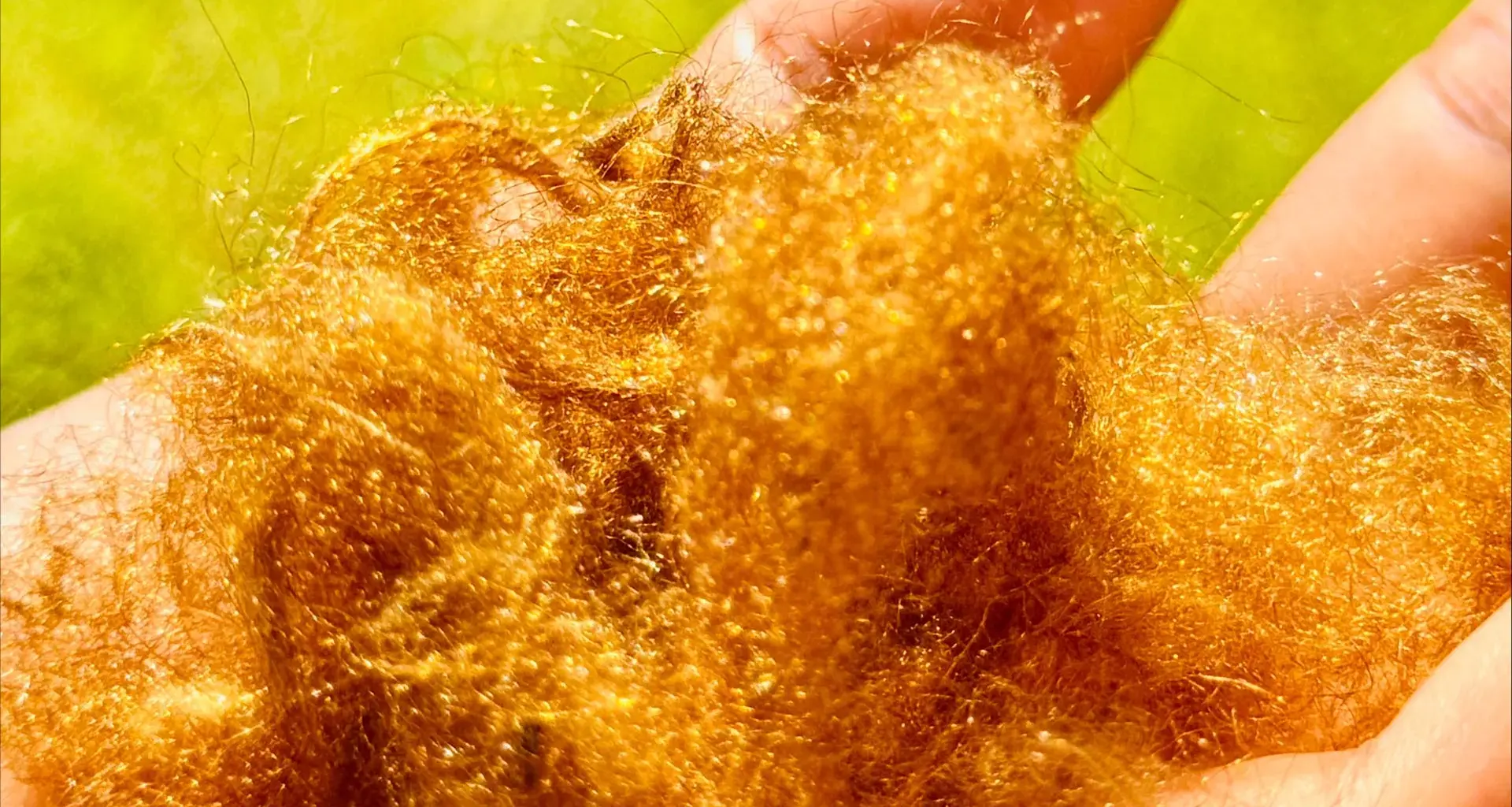 A legendary golden fabric lost for 2,000 years has been brought back