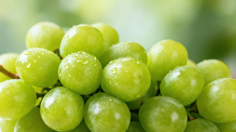 Green grapes with water droplets