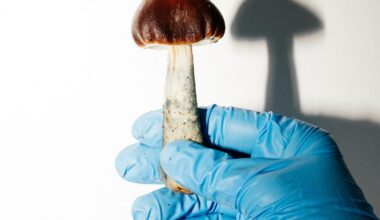 These drugs could be a game changer for end-of-life care