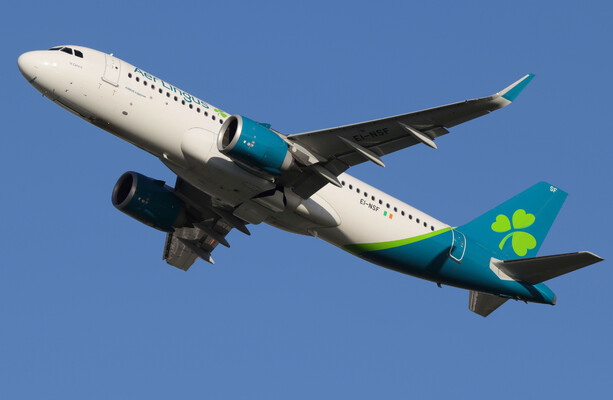 Galway farmer pleads guilty to sexual assault of 16-year-old girl on Aer Lingus transatlantic flight - The Journal