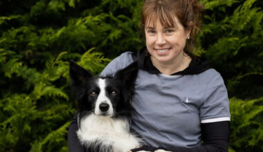 Rescue dog who was found in Tesco bag to represent Ireland at Crufts - The Journal