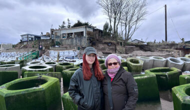 'It impacts your whole life': Portrane family on slowly losing their home to the sea - The Journal