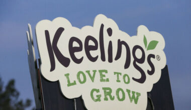 Fruit packer drops Keelings lawsuit after CCTV shows she slipped on grape she had been carrying