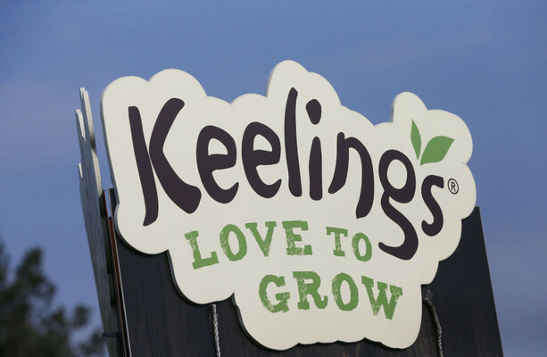 Fruit packer drops Keelings lawsuit after CCTV shows she slipped on grape she had been carrying