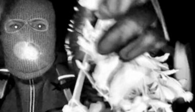 FBI releases footage from home of missing Nancy Guthrie showing masked person at her door