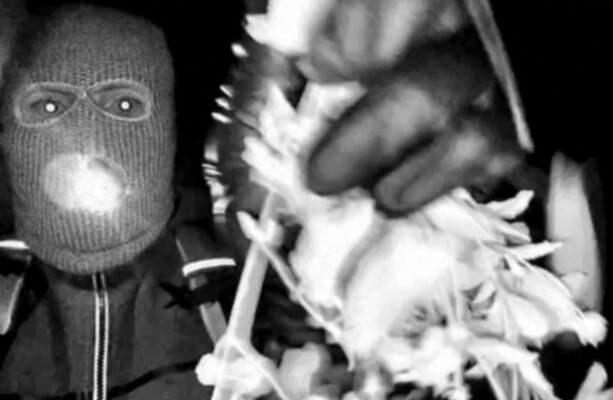 FBI releases footage from home of missing Nancy Guthrie showing masked person at her door