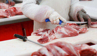 Waterford abattoir begins redundancy consultation with more than 200 employees - The Journal