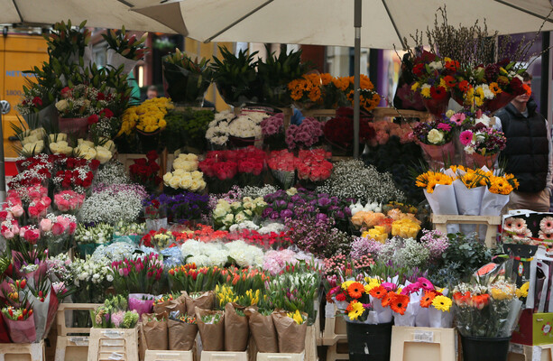 Are you going to celebrate St Valentine's Day? · TheJournal.ie