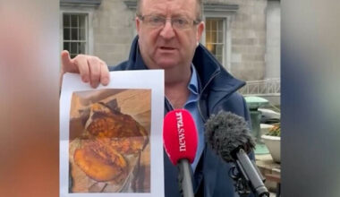 TD says you would need a 'very strong stomach' to eat 'gunk' Hot School Meals