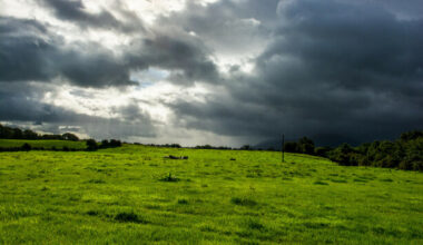 Met Éireann issues Status Yellow thunderstorm warning for four counties