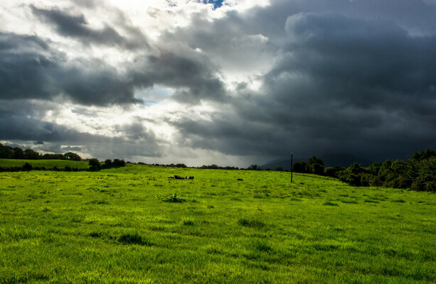 Met Éireann issues Status Yellow thunderstorm warning for four counties