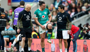 Ireland monitor Lowe's groin injury as 11 players released back to provinces