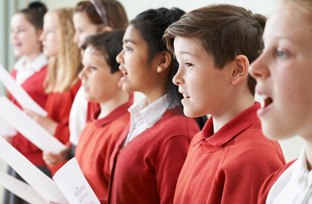 Should the national anthem be mandatory in primary schools? - The Journal