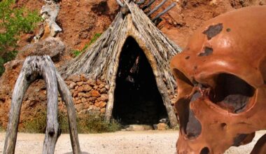 Women’s labor shaped human evolution in ways long overlooked