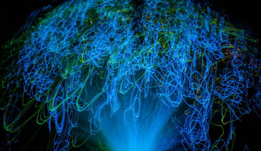 AI has driven investors to hallucinations