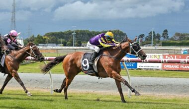 Winton trainer comes up trumps with upset in $120k race