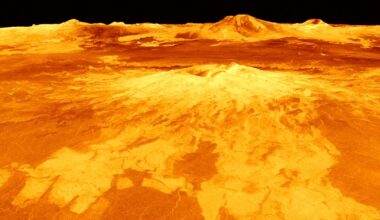 Scientists Intrigued by Possible Hollow Structures Under Surface of Venus