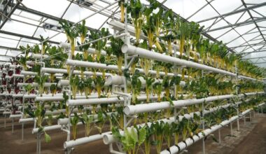 Discover Magazine Logo