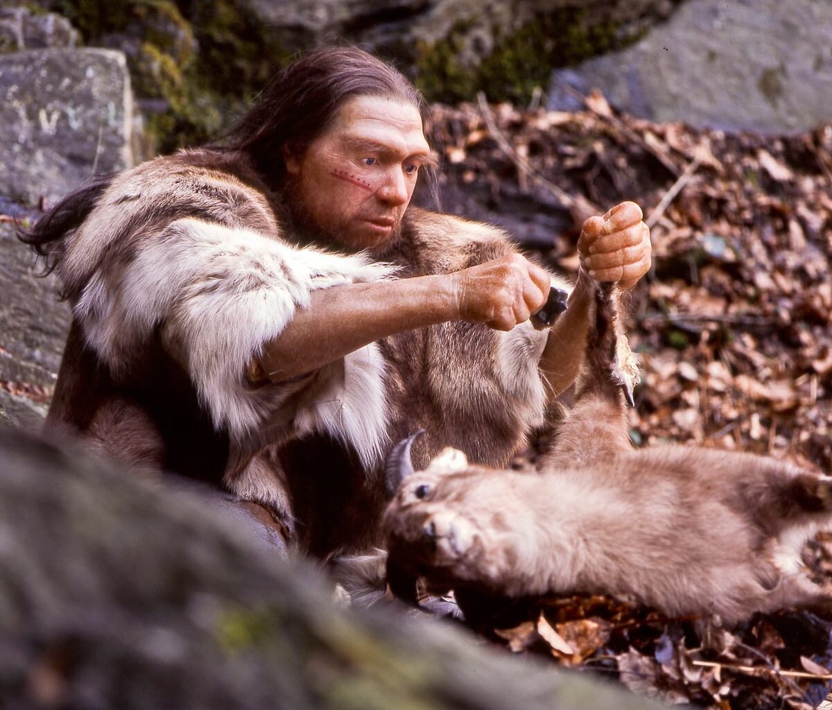 Scientists Reveal the Surprising Sex Lives of Neanderthals and Early Humans