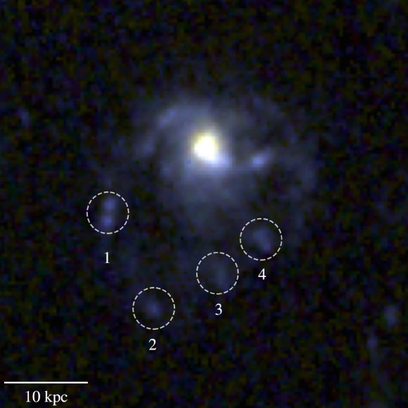 This Webb image shows the jellyfish galaxy COSMOS2020-635829; the dashed circles mark the four extraplanar sources that are identified in the tail of the galaxy. Image credit: Roberts et al., doi: 10.3847/1538-4357/ae3824.