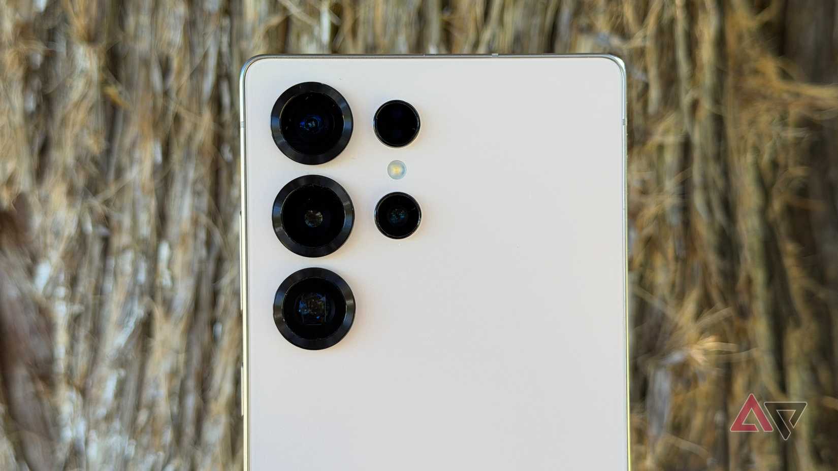 Samsung Galaxy S25 Ultra cameras shown against a tree