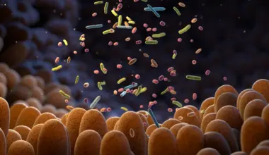 Scientists discover how to turn gut bacteria into anti-aging factories