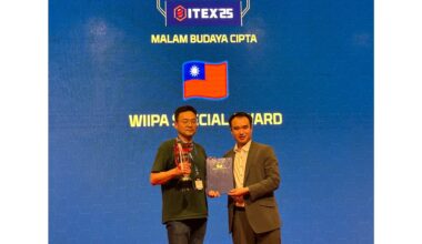 Vadel Introduces 'Natural Cat Stone,' an Eco-Friendly Cat Litter for Sustainable Feline Care