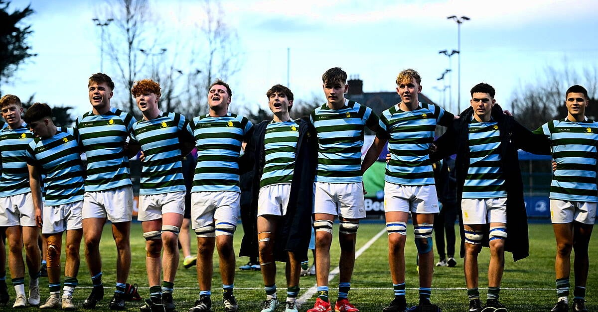 Leinster Senior Cup Tie To Be Replayed After Ineligible Player Fielded