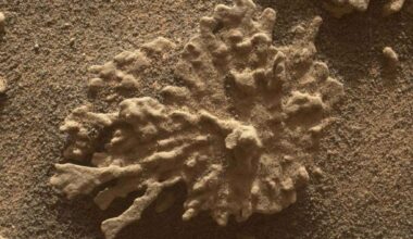 Close-up of Martian soil and rock texture tied to Perseverance’s cached samples as Mars Sample Return plans stall