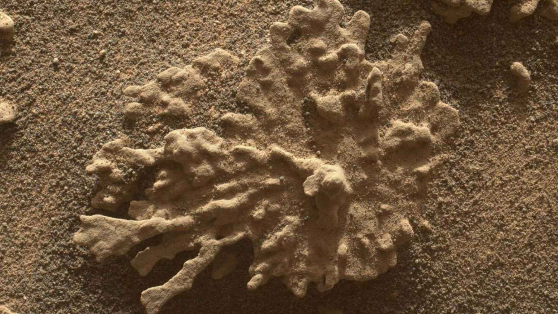 Close-up of Martian soil and rock texture tied to Perseverance’s cached samples as Mars Sample Return plans stall