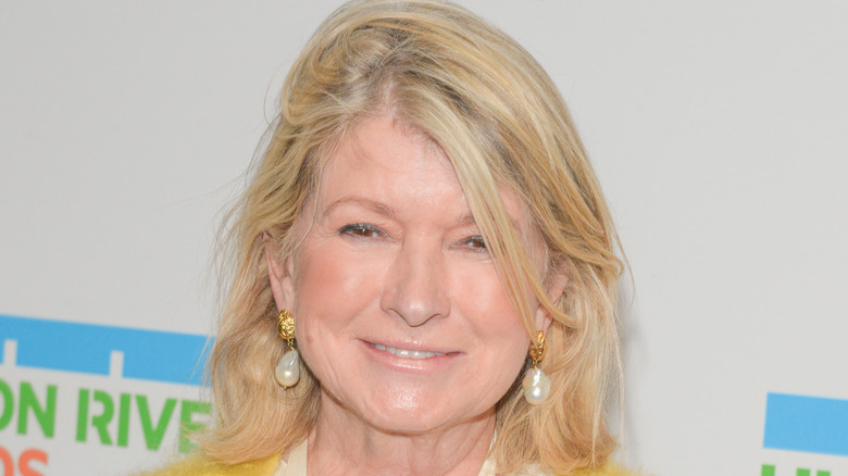 Martha Stewart attends Hudson River Park Gala.