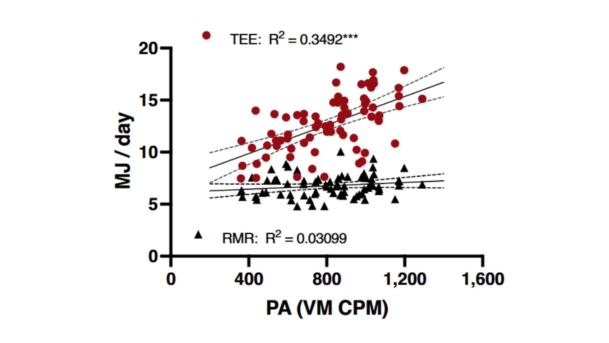 The more you exercise, the more calories you burn.