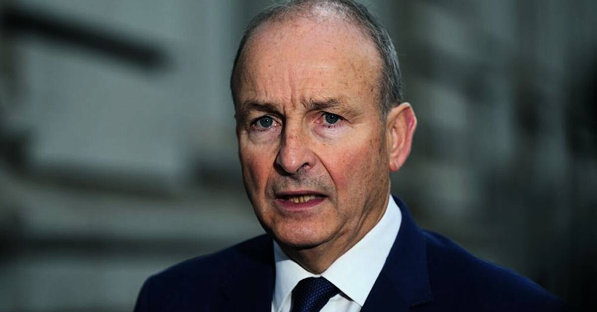 Micheál Martin says he will lead Fianna Fáil into next general election