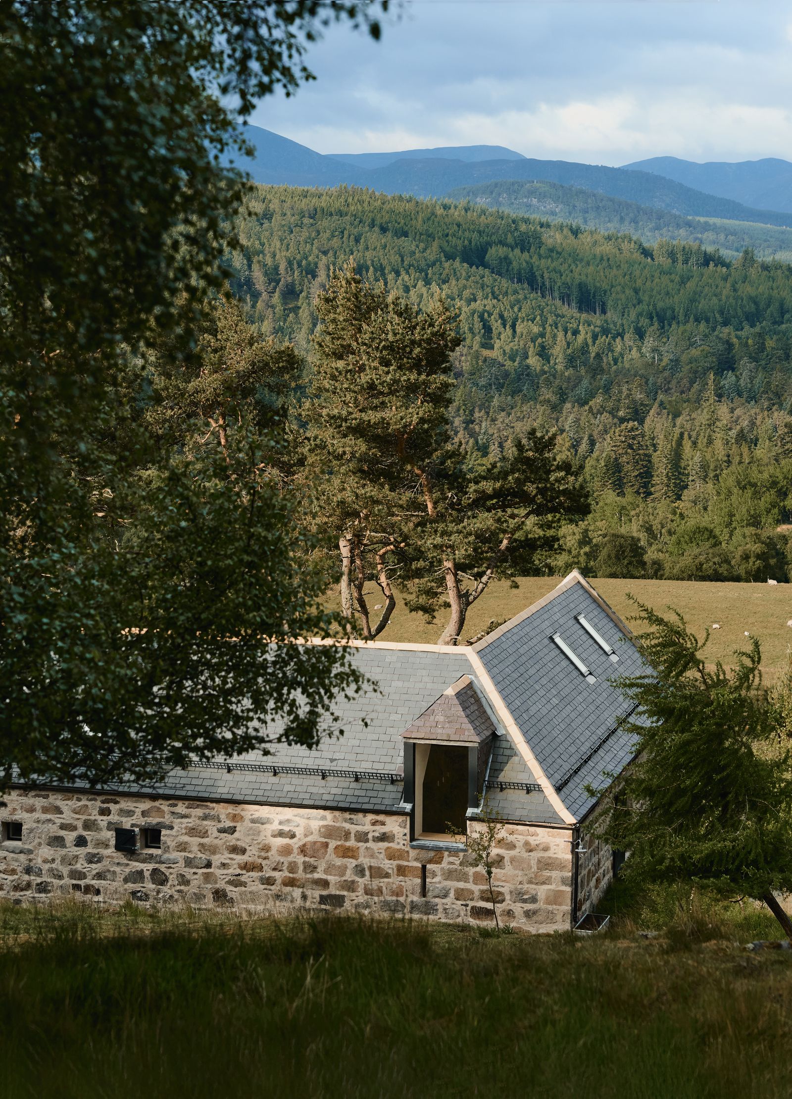 Image may contain Outdoors Architecture Building Shelter Housing Cottage House Plant Tree Land and Nature