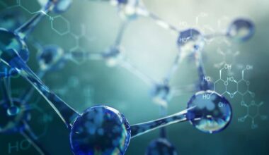 Polymer Micelles in Saline: New Gel Insights