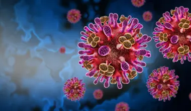 A hidden bat virus is infecting humans