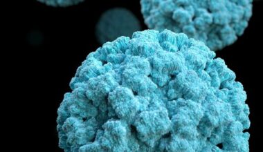 Fears of 'second surge' of norovirus as cases rise