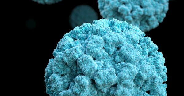 Fears of 'second surge' of norovirus as cases rise
