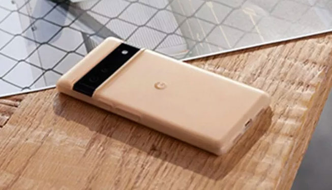 Google Pixel 6 Pro case