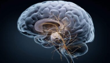 Neuroscience News logo for mobile.