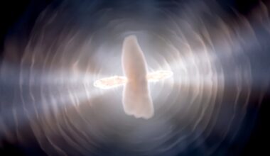 Last gasps of dying Sun-like star captured by Hubble