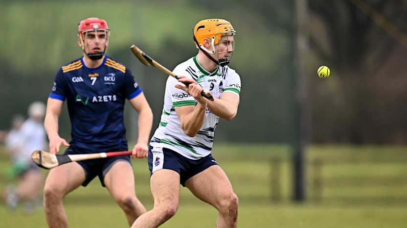 Preview: Electric Ireland Fitzgibbon Cup Semi-Finals