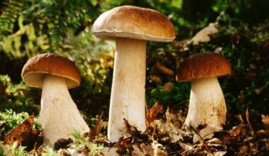 How to get rare earths without mining rock